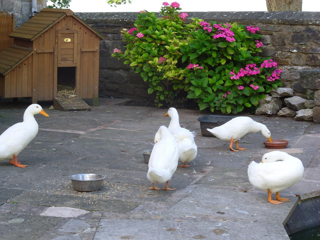 Tithe Barn Bed And Breakfast Carnforth Exteriör bild